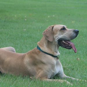 Meet your Posher, Deborah